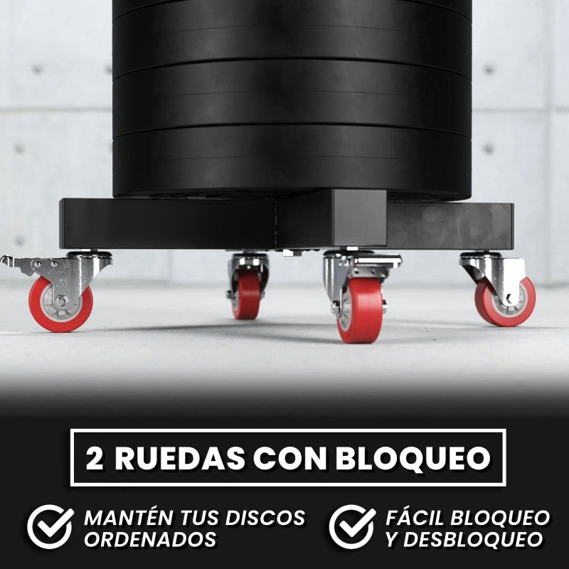Rack Para Discos Vertical Con Ruedas