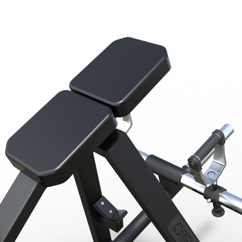 T-Bar Row Beast | Obelix