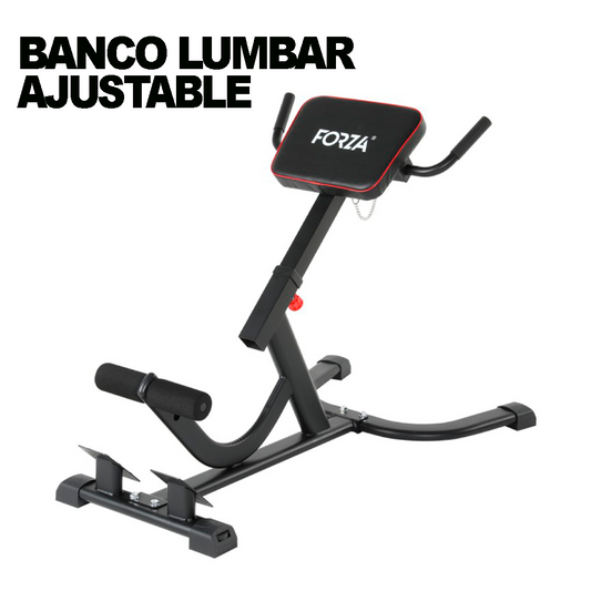 Banco Lumbar Ajustable Multifuncional 1.0 | Forza