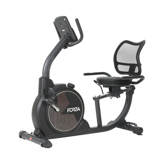 Bicicleta Reclinada Magnética