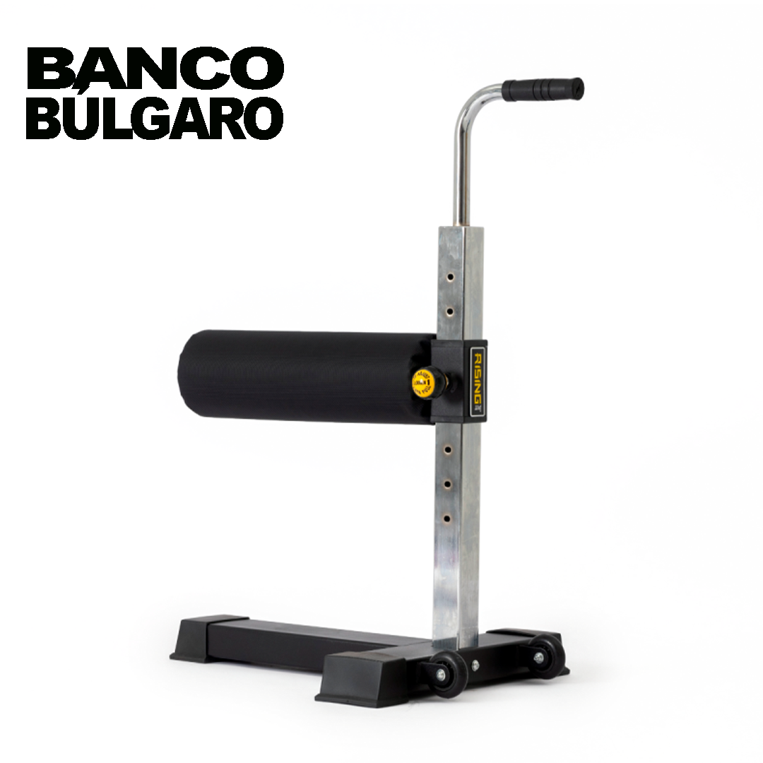 Banco Sentadilla Búlgara Regulable
