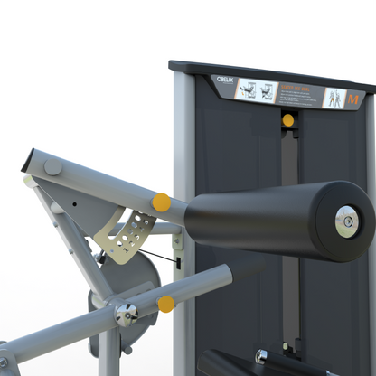 Curl Femoral Sentado V8 Series | Obelix
