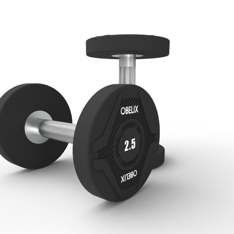 Par Mancuernas Pu 2.5kg | Obelix