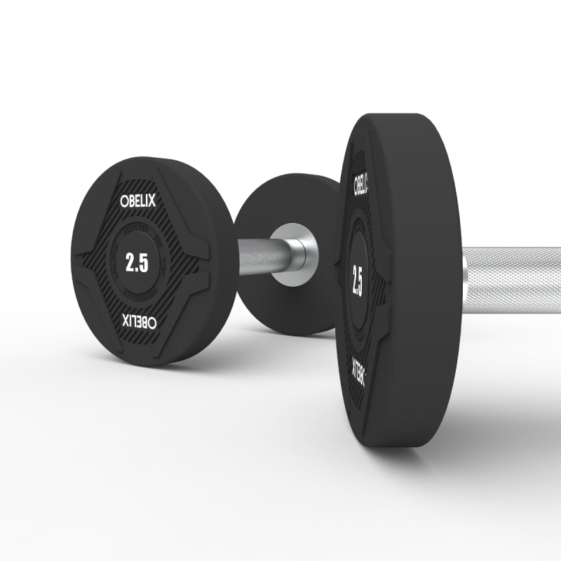 Par Mancuernas Pu 2.5kg | Obelix