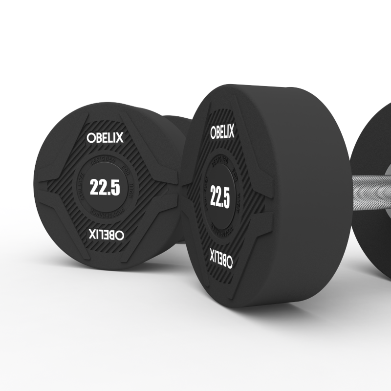 Par Mancuernas Pu 22.5kg | Obelix