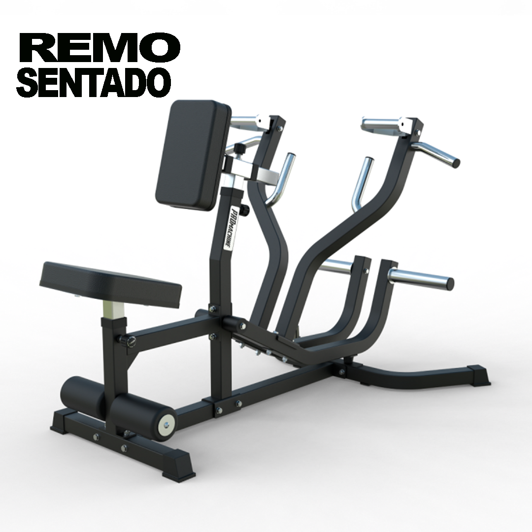 Remo Sentado | Seated Row