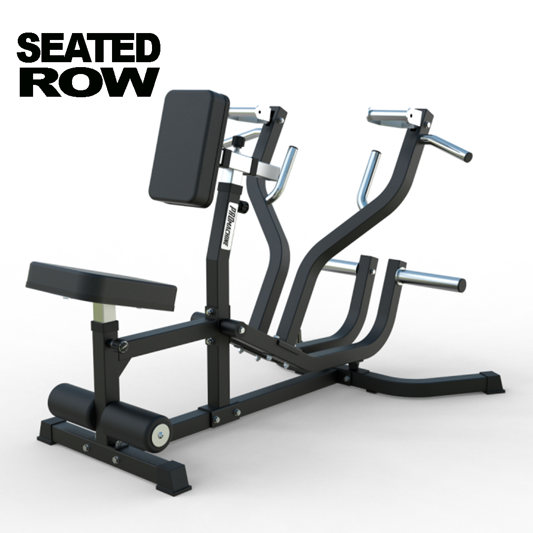 Remo Sentado | Seated Row