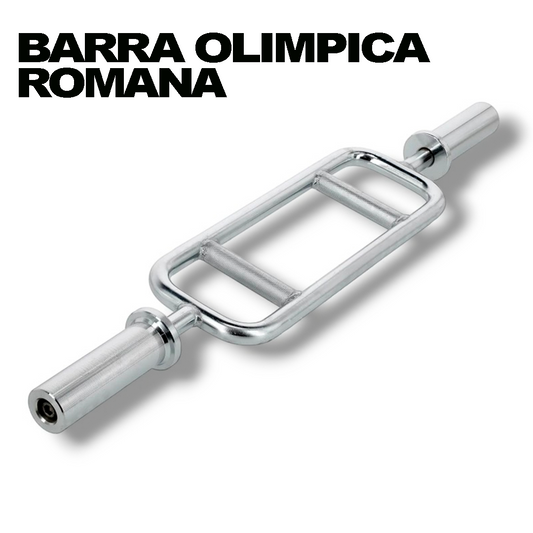 Barra Olímpica Romana