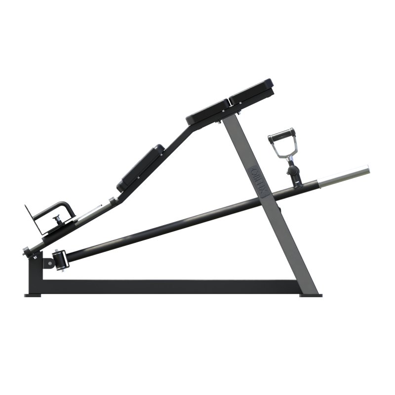 T-Bar Row Beast | Obelix