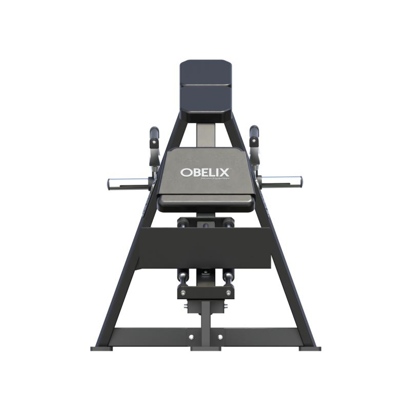 T-Bar Row Beast | Obelix