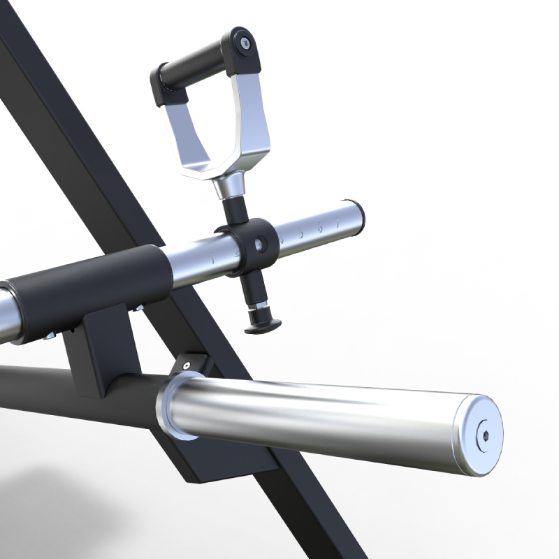 T-Bar Row Beast | Obelix